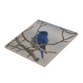 Carreau Oiseau bleu de montagne (Côté)