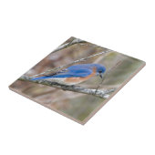 Carreau Oiseau bleu d'oiseau bleu dans l'arbre (Côté)