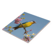 Carreau Oiseau Coloré sur Branche en Fleurs (Côté)