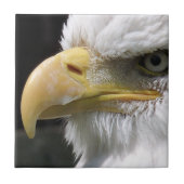 CARREAU OISEAU D'AGLE (Devant)