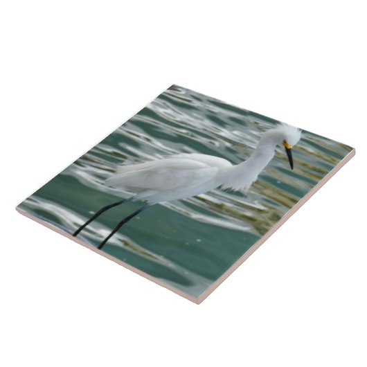 Carreau Oiseau d'aigrettes (Côté)