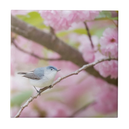 Carreau Oiseau dans l'arbre à fleurs roses (Devant)