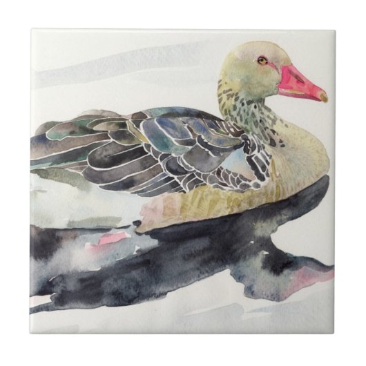 Carreau Oiseau d'aquarelle d'aspiration de main, canard (Devant)