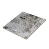 Carreau Oiseau d'arbre de bouleau Peelé Vieux art photo (Côté)