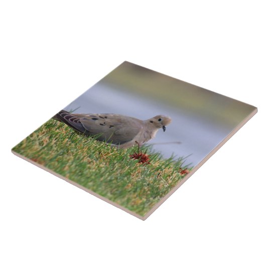 Carreau Oiseau de colombe (Côté)