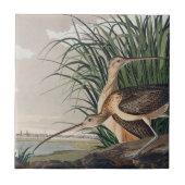 Carreau Oiseau de Courlis à long bec Audubon (Devant)