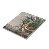 Carreau Oiseau de Courlis à long bec Audubon (Côté)