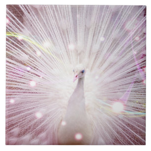 Carreau Oiseau de lWild de Beautifu