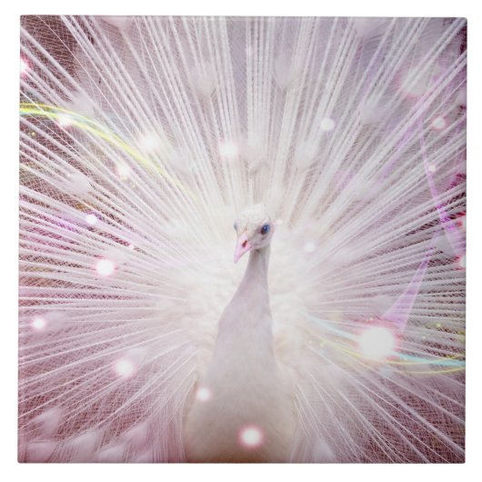 Carreau Oiseau de lWild de Beautifu (Devant)