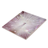 Carreau Oiseau de lWild de Beautifu (Côté)