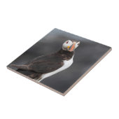 Carreau Oiseau de macareux (Côté)