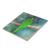 Carreau Oiseau de perroquet 80 (Côté)