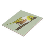 Carreau Oiseau de Sillvereye tauhou (Côté)