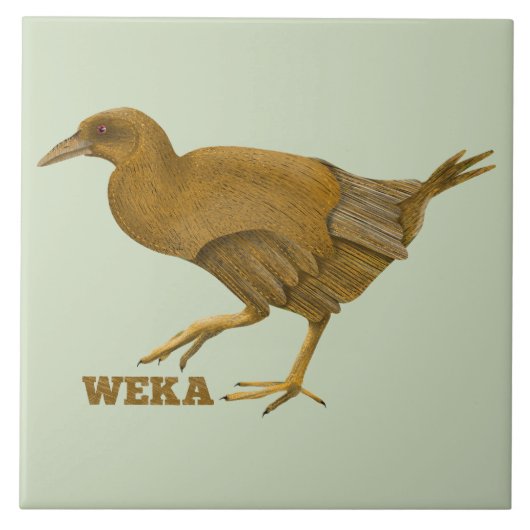 Carreau Oiseau de Weka N.Z. (Devant)