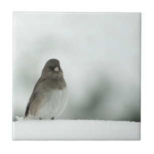 Carreau Oiseau d'hiver