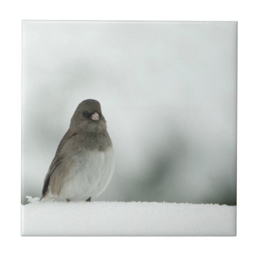 Carreau Oiseau d'hiver (Devant)