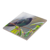 Carreau Oiseau du Costa Rica - Colibri (Côté)