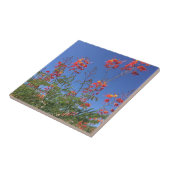 Carreau Oiseau du paradis mexicain (Côté)