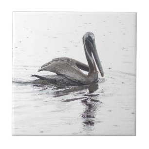 Carreau Oiseau pélican sous la pluie