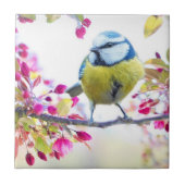 Carreau Oiseau printanier (Devant)