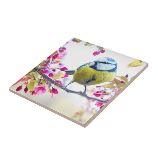 Carreau Oiseau printanier (Côté)