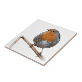 Carreau Oiseau rouge de faune de sein de Robin (Côté)