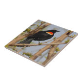 Carreau Oiseau roux (Côté)