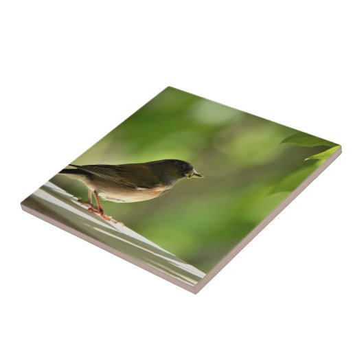 Carreau Oiseau sur fond de feuilles vertes (Côté)