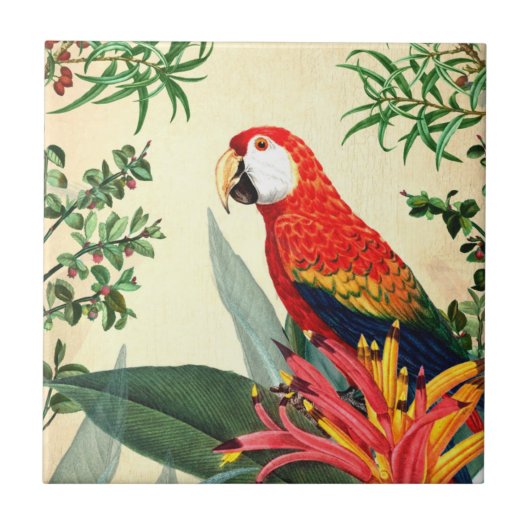 CARREAU OISEAU TROPICALE DE PARROT 8 (Devant)