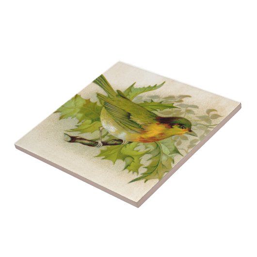 Carreau Oiseau vintage (Côté)