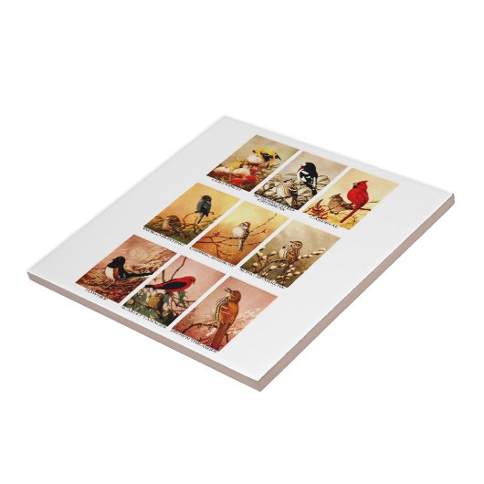 Carreau Oiseaux (Côté)