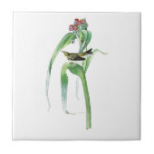 Carreau Oiseaux Amérique de John James Audubon de la (Devant)