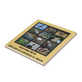 Carreau Oiseaux australiens (Côté)