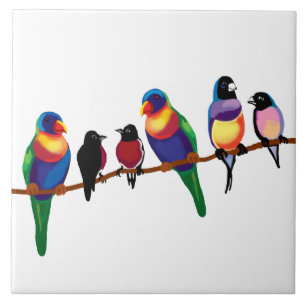 Carreau Oiseaux australiens