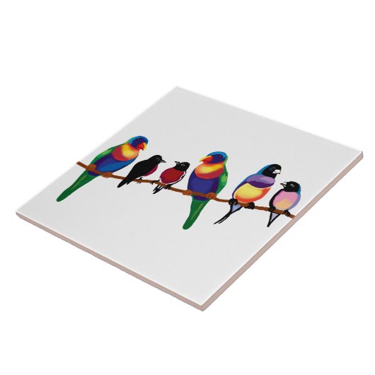 Carreau Oiseaux australiens (Côté)