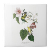 Carreau oiseaux Bleu-à ailes Amérique d'Audubon de (Devant)