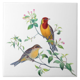 Carreau Oiseaux Bruants sur Branches