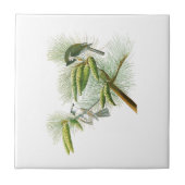 Carreau Oiseaux crêtés Amérique de John James Audubon de (Devant)