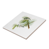 Carreau Oiseaux crêtés Amérique de John James Audubon de (Côté)