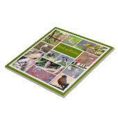 Carreau Oiseaux de Boston Photo Collage (Côté)