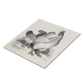 Carreau Oiseaux de Cochin de coq de poulet personnalisés (Côté)