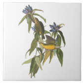 Carreau Oiseaux de John James Audubon (Devant)