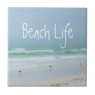 Carreau Oiseaux de mer bleu marine