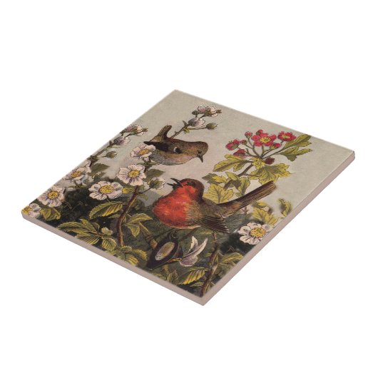 Carreau Oiseaux de printemps Robin Oiseaux rouges (Côté)