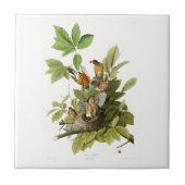 Carreau Oiseaux de Robin John James Audubon d'Américain de (Devant)