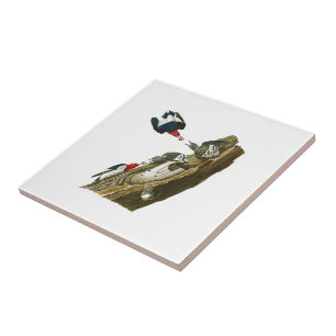 Carreau Oiseaux dirigés rouges Amérique de John Audubon 