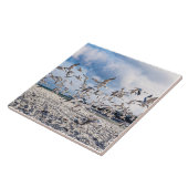 Carreau Oiseaux en flammes (Côté)