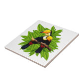 Carreau Oiseaux exotiques (Côté)