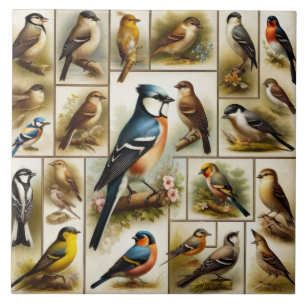 Carreau Oiseaux primitifs
