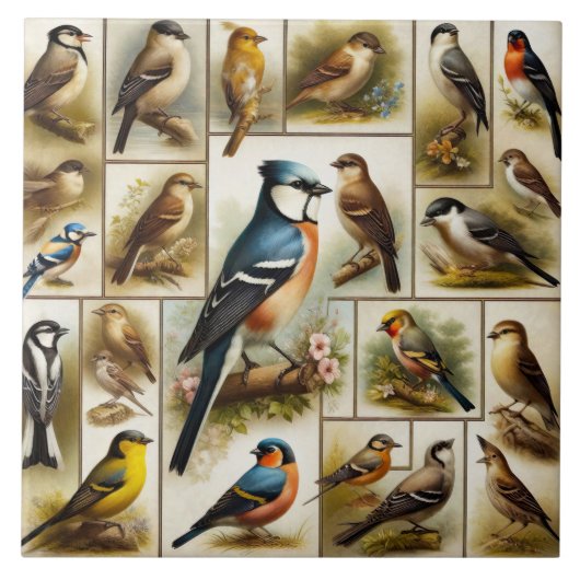 Carreau Oiseaux primitifs (Devant)